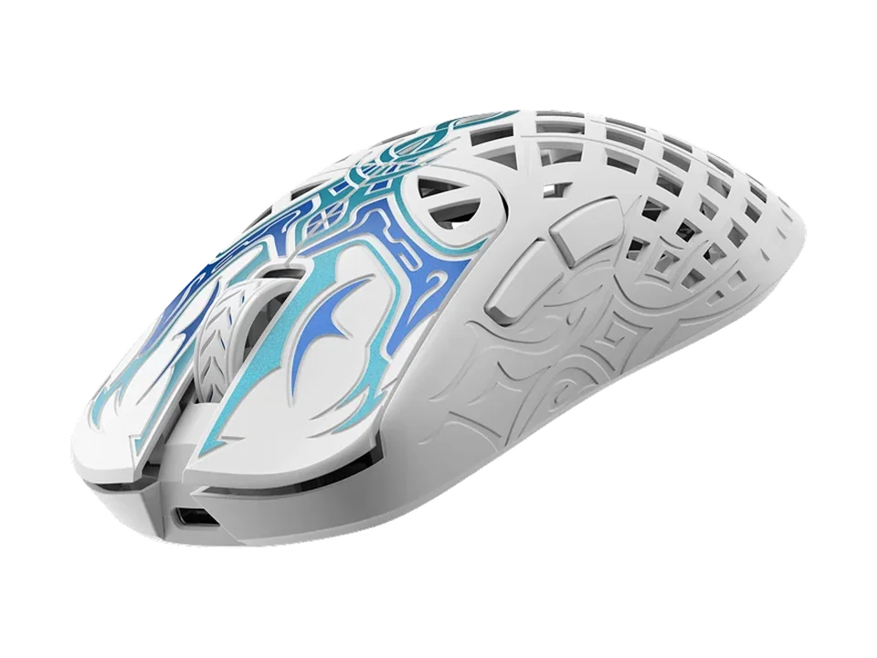 WAIZOWL TRIAINA: Grande e em carbono